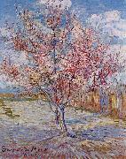 Vincent Van Gogh Flowering Orchards USA oil painting artist